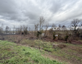 Maison au cœur de la nature – Un havre de paix aux portes de Nevers - image n° 2
