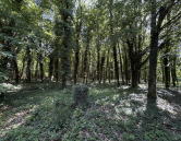 Maison familiale de 150 m² au cœur de la nature – Terrain d'environ 1 hectare avec forêt – 20 min de Nevers - image n° 19